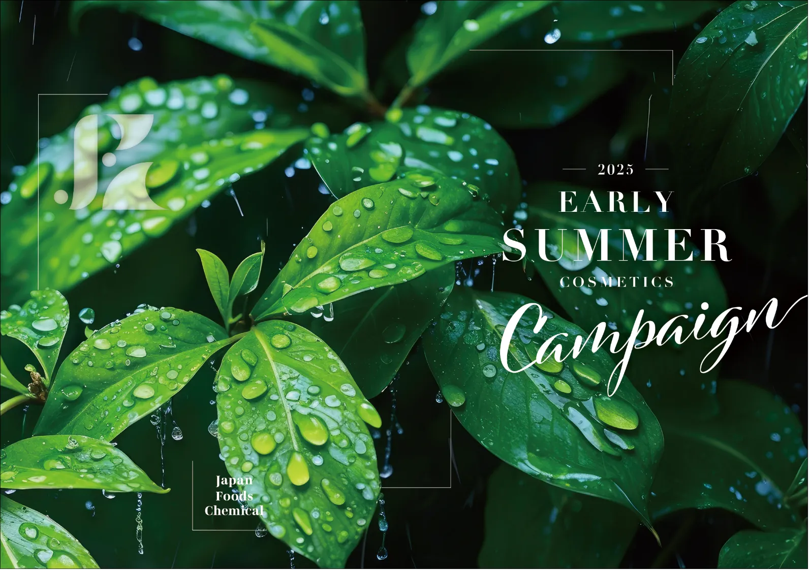 2025 EARLY SUMMER COSMETIC キャンペーン