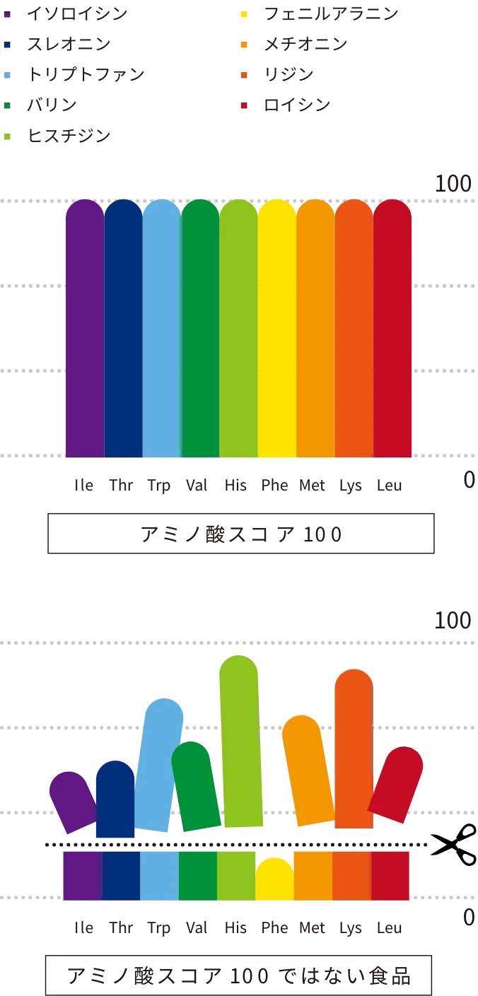 アミノ酸スコア100